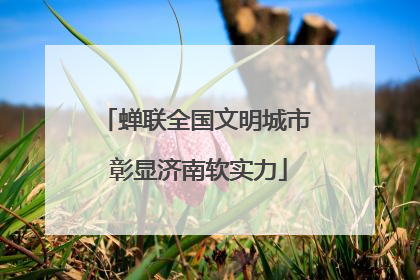 蝉联全国文明城市 彰显济南软实力